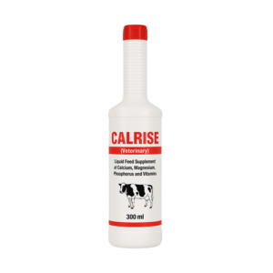 CALRIZE