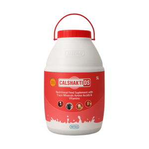 CALSHAKTI DS