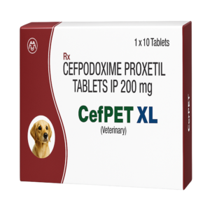 CEFPET XL