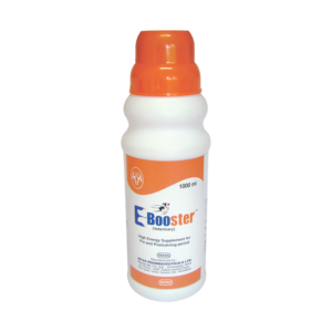 E-BOOSTER