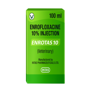 ENROTAS 10
