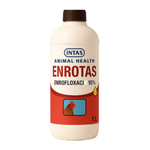 ENROTAS