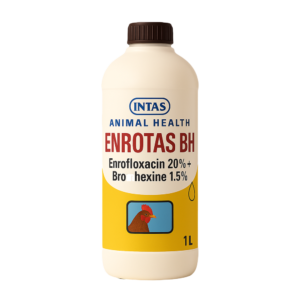 ENROTAS BH