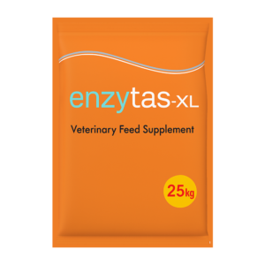 ENZYTAS XL