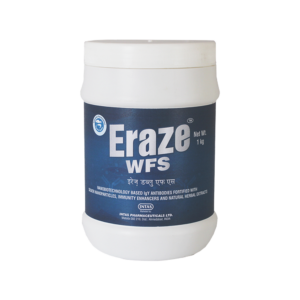 ERASE WFS