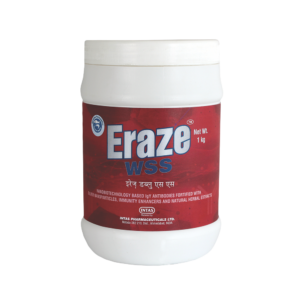ERASE WSS