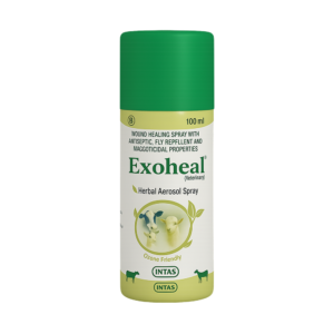 EXOHEAL