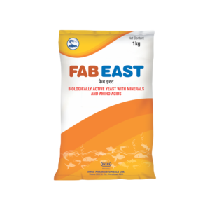 FAB EAST