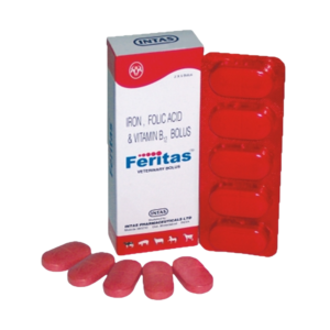 FERITAS BOLUS