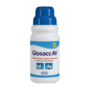 GLOSACC AV