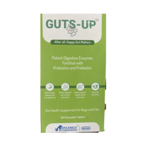 GUTS UP