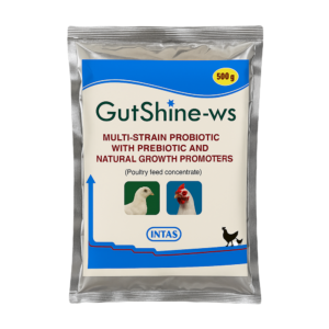 GUTSHINE-WS