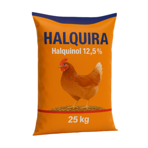 HALQUORA