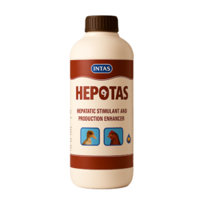 HEPOTAS