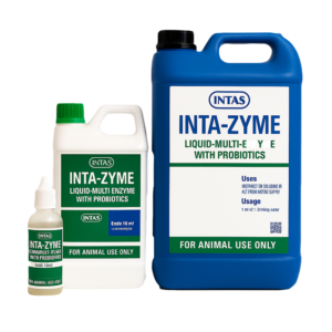 INTA-ZYME