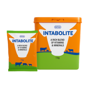 INTABOLITE