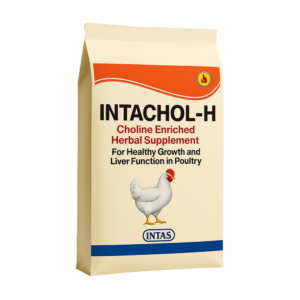 INTACHOL-H