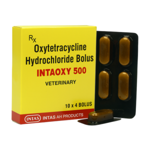 INTAOXY 500