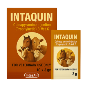 INTAQUIN 3