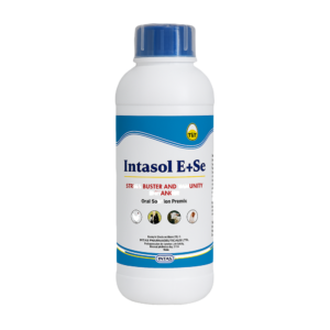 INTASOL E+SE