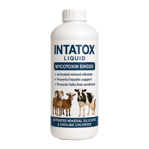 INTATOX LIQUID