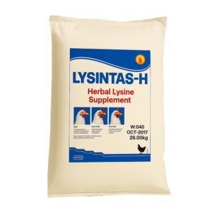 LYSINTAS-H