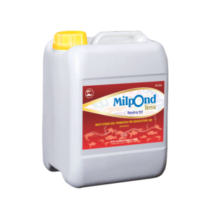 MILPOND TERRA