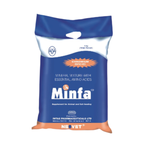 MINFA