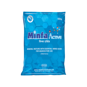 MINFA ACTIVE