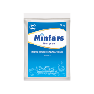 MINFA FS