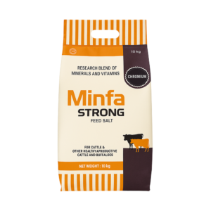 MINFA STRONG