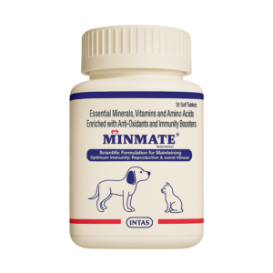MINMET