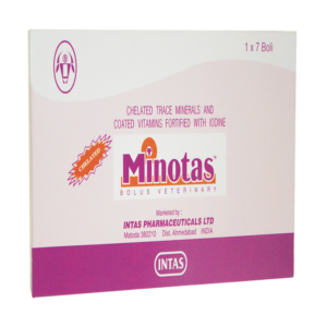 MINOTAS