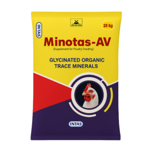 MINOTAS-AV