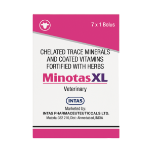 MINOTAS XL