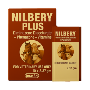 NILBERY PLUS