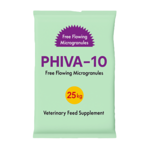 PHIVA-10