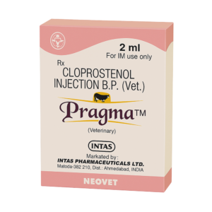 PRAGMA