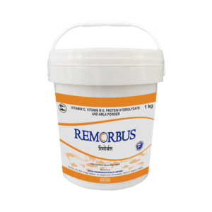 REMORBUS