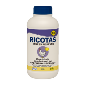 RICOTAS