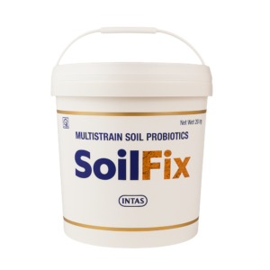 SOIL FIX