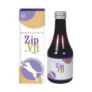 ZIP VIT